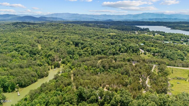 LOT8 Pleasure Rd, Sevierville, TN 37876 - photo 11