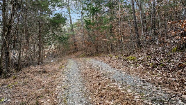 LOT8 Pleasure Rd, Sevierville, TN 37876 - photo 35