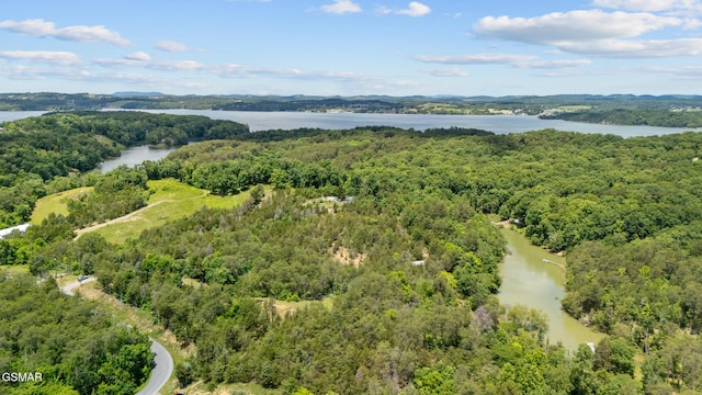LOT8 Pleasure Rd, Sevierville, TN 37876 - photo 2