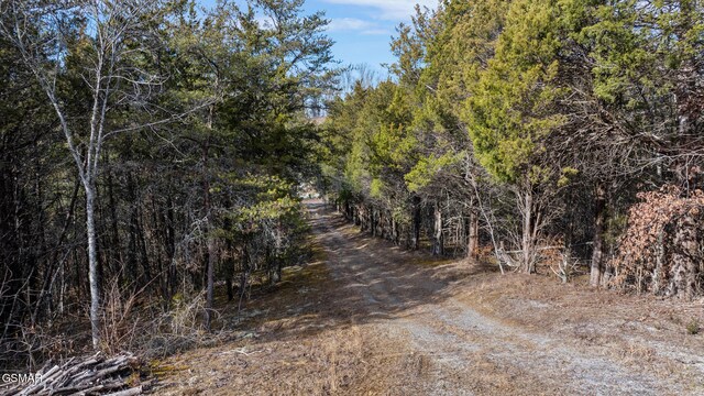 LOT8 Pleasure Rd, Sevierville, TN 37876 - photo 31