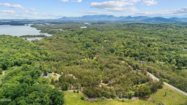 LOT8 Pleasure Rd, Sevierville, TN 37876 - photo 10