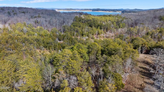 LOT8 Pleasure Rd, Sevierville, TN 37876 - photo 28