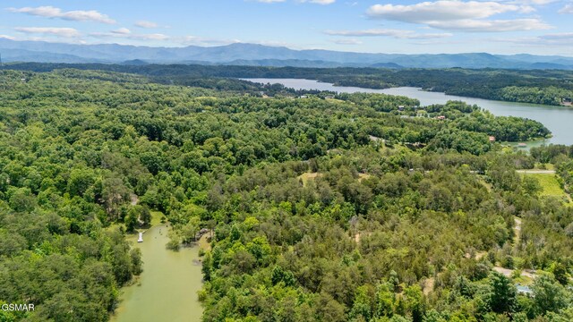 LOT8 Pleasure Rd, Sevierville, TN 37876 - photo 12