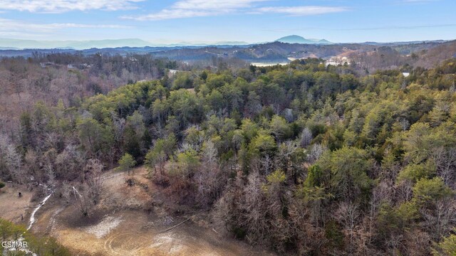 LOT8 Pleasure Rd, Sevierville, TN 37876 - photo 22