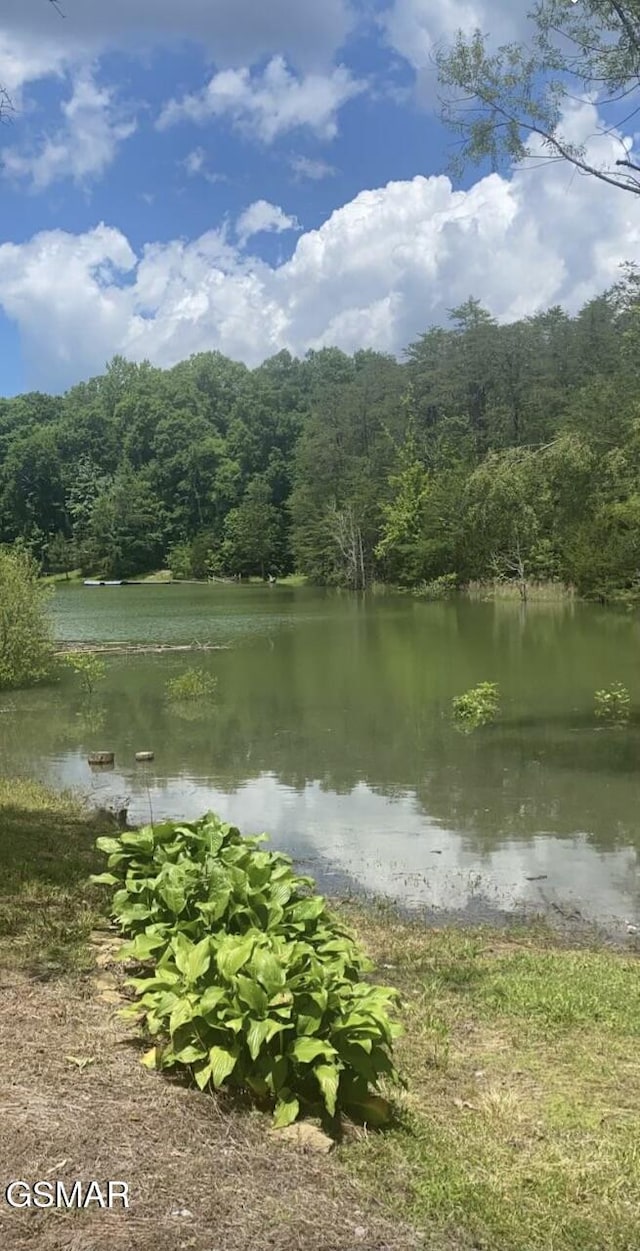 LOT8 Pleasure Rd, Sevierville, TN 37876 - photo 44