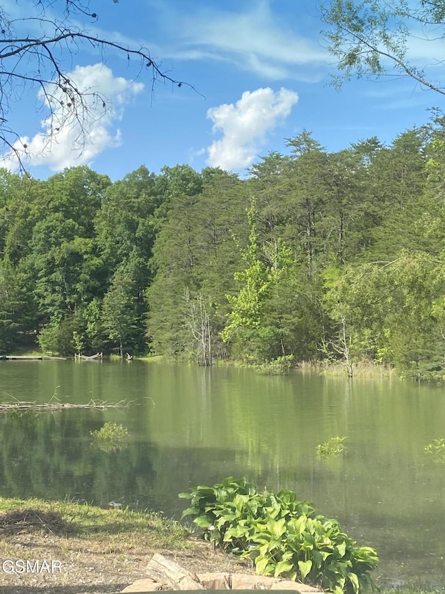 LOT8 Pleasure Rd, Sevierville, TN 37876 - photo 39