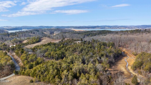 LOT8 Pleasure Rd, Sevierville, TN 37876 - photo 26