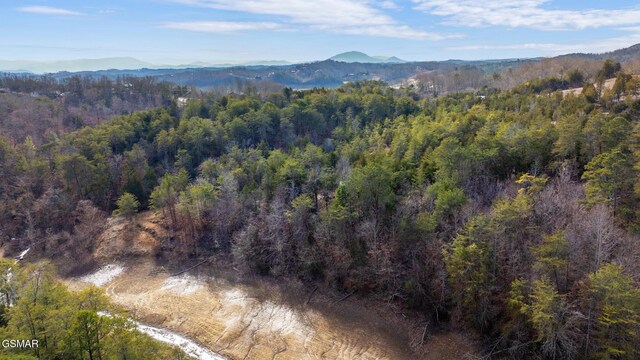 LOT8 Pleasure Rd, Sevierville, TN 37876 - photo 24