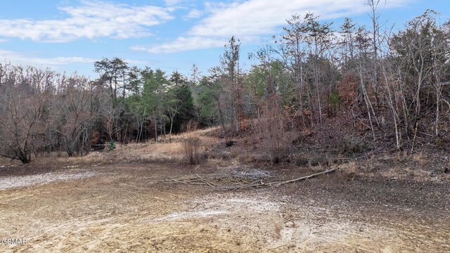 LOT8 Pleasure Rd, Sevierville, TN 37876 - photo 38