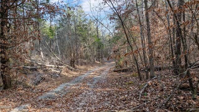 LOT8 Pleasure Rd, Sevierville, TN 37876 - photo 34