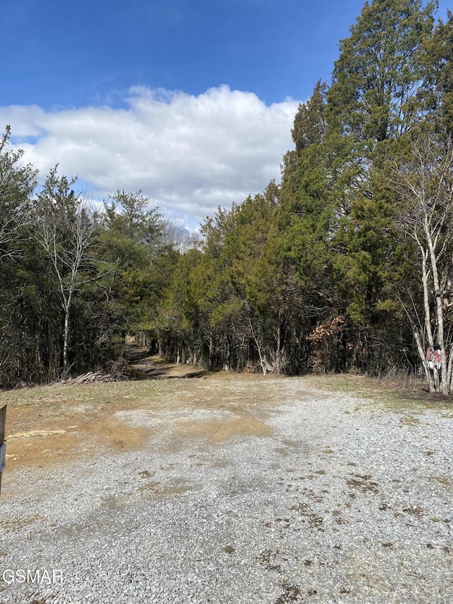 LOT8 Pleasure Rd, Sevierville, TN 37876 - photo 45