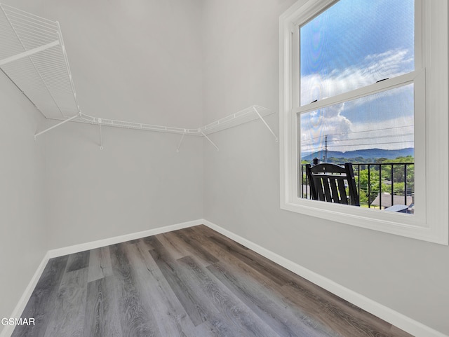 3141 Teaster Ln Unit 2, Pigeon Forge, TN 37863 - walk in closet with wood finished floors