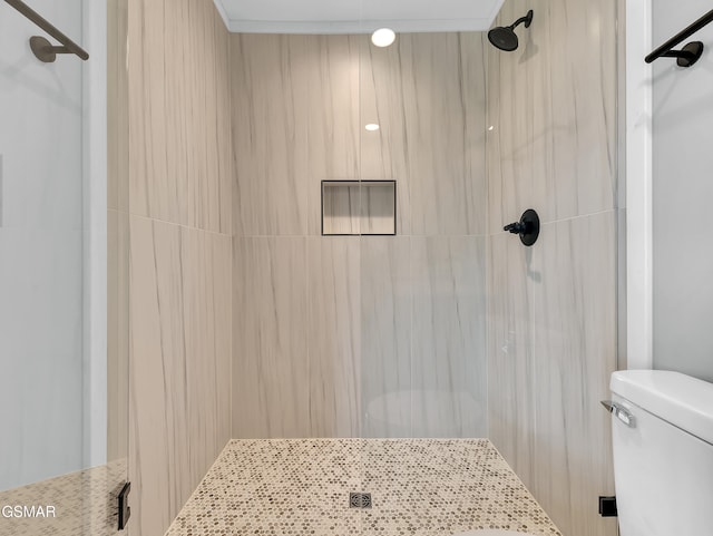 3141 Teaster Ln Unit 2, Pigeon Forge, TN 37863 - full bath with a stall shower and toilet