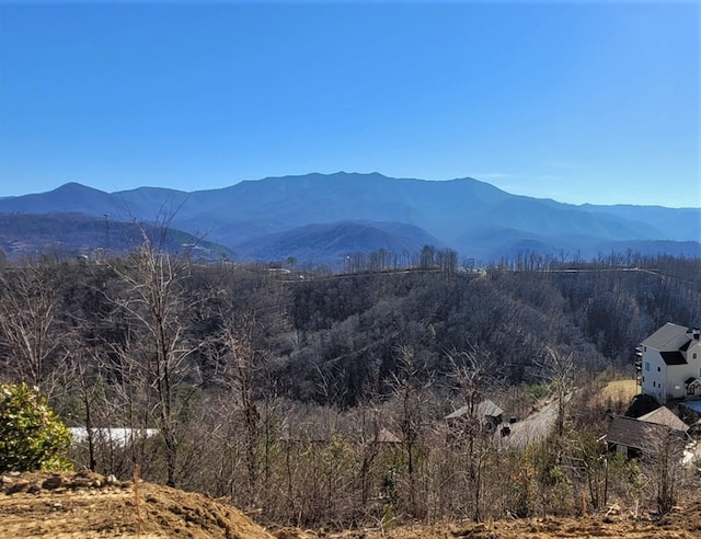 property view of mountains