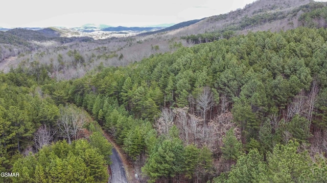 545 Harlan Mountain Rd, Tellico Plains, TN 37385