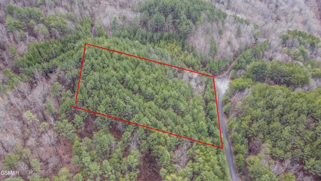 545 Harlan Mountain Rd, Tellico Plains, TN 37385