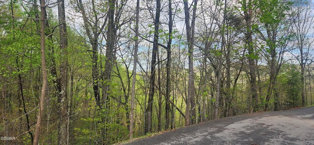 LOT32 Cupid Way, Sevierville, TN 37876 - photo 5