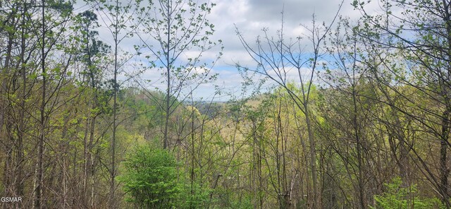 LOT32 Cupid Way, Sevierville, TN 37876 - photo 10