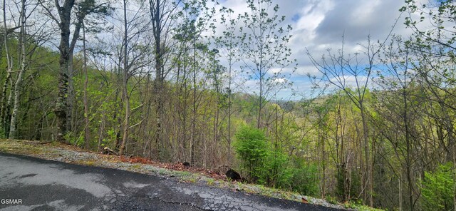 LOT32 Cupid Way, Sevierville, TN 37876 - photo 11