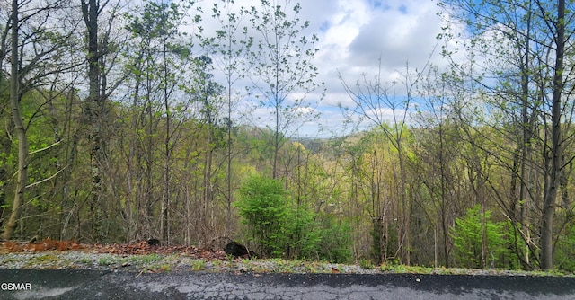 LOT32 Cupid Way, Sevierville, TN 37876 - photo 1