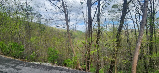 LOT32 Cupid Way, Sevierville, TN 37876 - photo 13