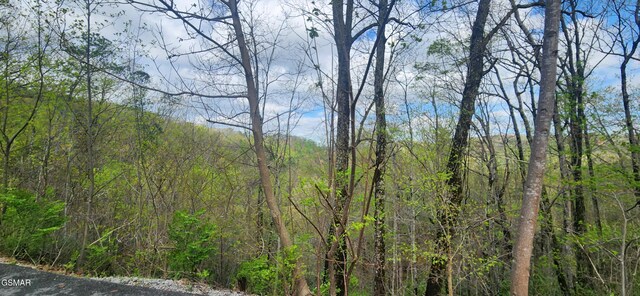 LOT32 Cupid Way, Sevierville, TN 37876 - photo 14
