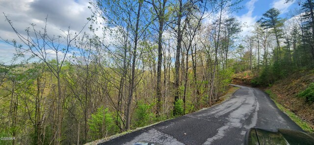 LOT32 Cupid Way, Sevierville, TN 37876 - photo 12