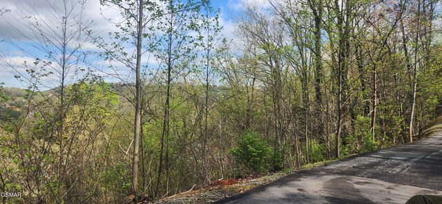 LOT32 Cupid Way, Sevierville, TN 37876 - photo 9