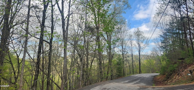 LOT32 Cupid Way, Sevierville, TN 37876 - photo 4