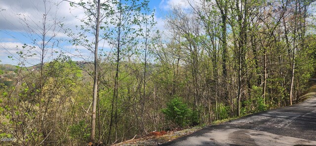 LOT32 Cupid Way, Sevierville, TN 37876 - photo 8