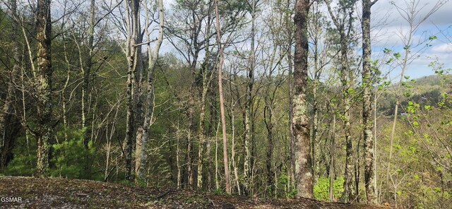 LOT32 Cupid Way, Sevierville, TN 37876 - photo 7