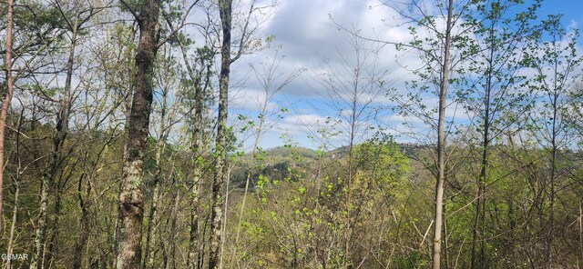 LOT32 Cupid Way, Sevierville, TN 37876 - photo 6