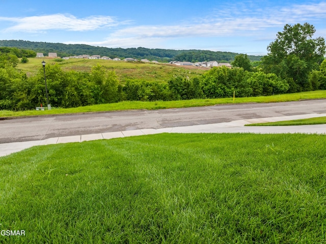 1032 Patriots Dr, Dandridge, TN 37725 - view of asphalt road