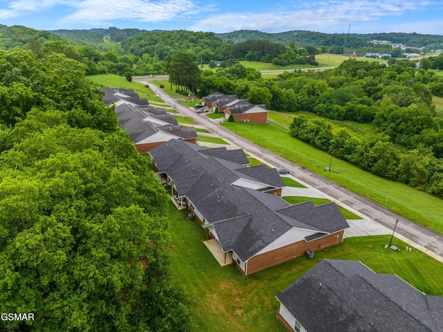1032 Patriots Dr, Dandridge, TN 37725 - bird's eye view of a forest