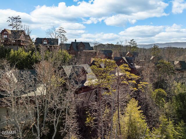 1308 Timberwolf Way, Sevierville, TN 37876 - view of mountain background