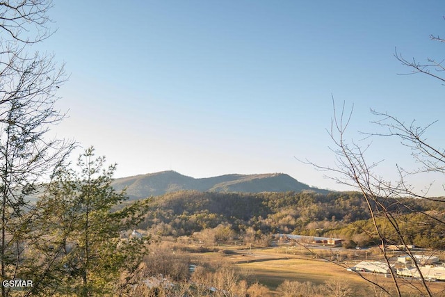 view of mountain feature