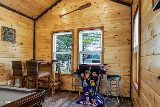 playroom with lofted ceiling, a wealth of natural light, dark wood-type flooring, and wood ceiling