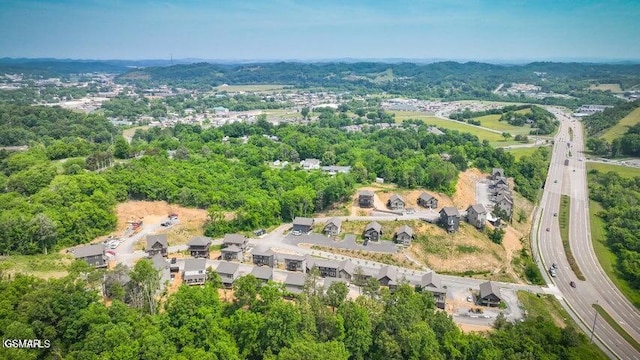1654 Veterans Blvd Unit 17, Sevierville, TN 37862 - photo 51