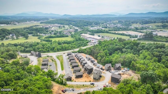 1654 Veterans Blvd Unit 17, Sevierville, TN 37862 - photo 53