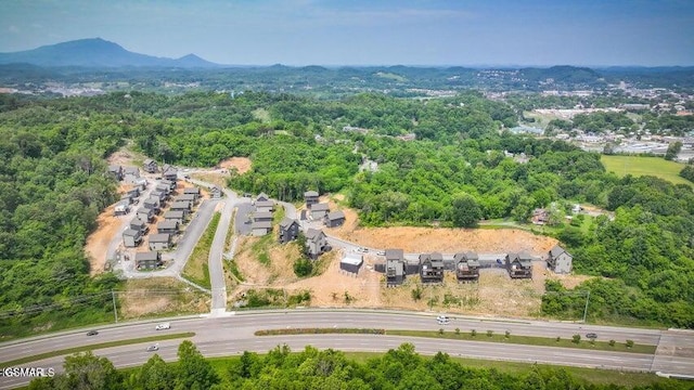 1654 Veterans Blvd Unit 17, Sevierville, TN 37862 - photo 54