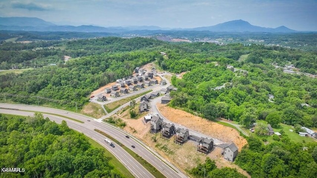 1654 Veterans Blvd Unit 17, Sevierville, TN 37862 - photo 50