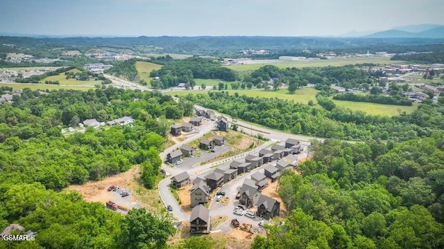 1654 Veterans Blvd Unit 17, Sevierville, TN 37862 - photo 52
