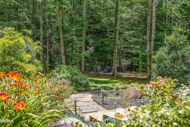 2313 Bogle Spring Loop, Sevierville, TN 37862 - view of yard featuring a wooded view