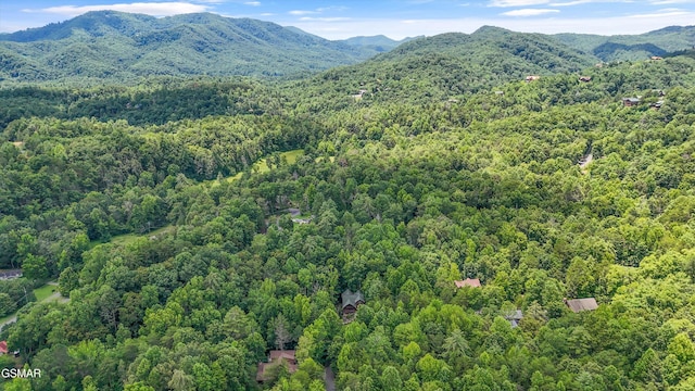 2313 Bogle Spring Loop, Sevierville, TN 37862 - mountain view featuring a forest