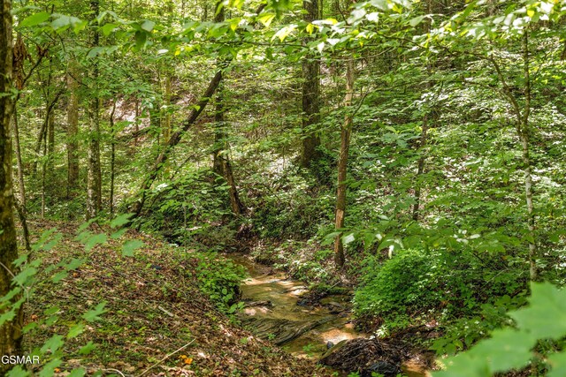 2313 Bogle Spring Loop, Sevierville, TN 37862 - view of wooded area