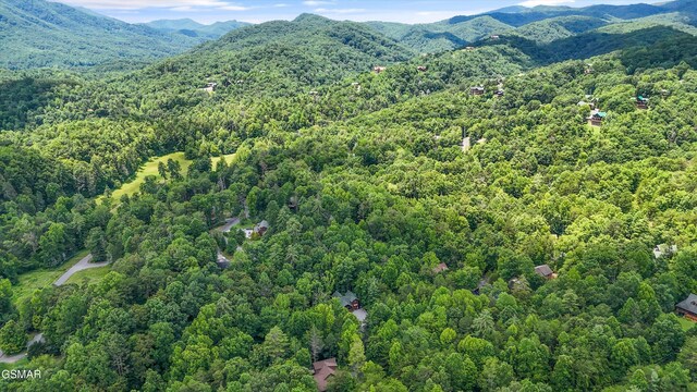 2313 Bogle Spring Loop, Sevierville, TN 37862 - mountain view with a forest