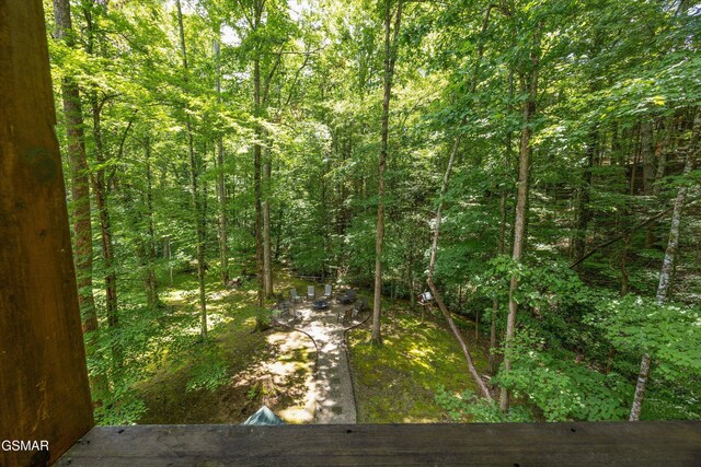2313 Bogle Spring Loop, Sevierville, TN 37862 - view of woods