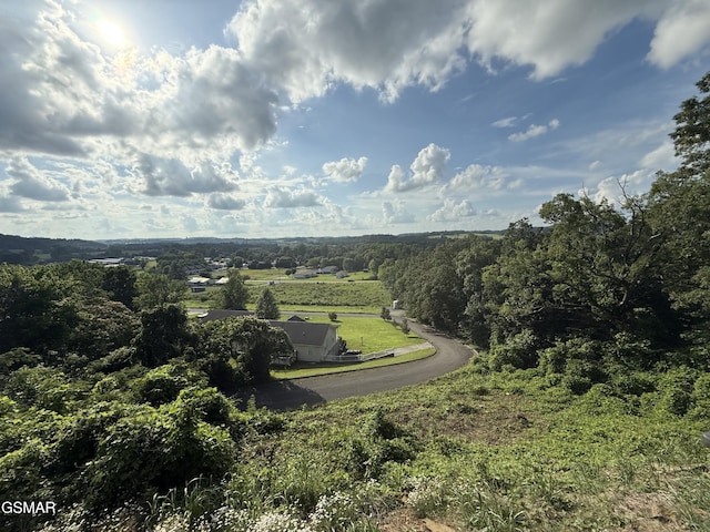 3347 Frontier View Dr Unit 3, Sevierville, TN 37876 - photo 2