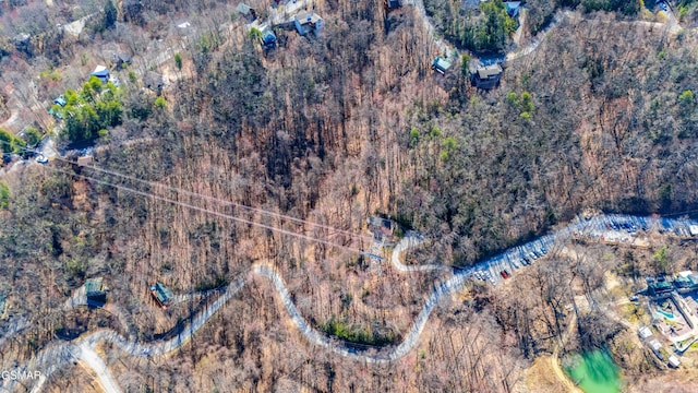 0 Tyrolea Ct, Gatlinburg, TN 37738
