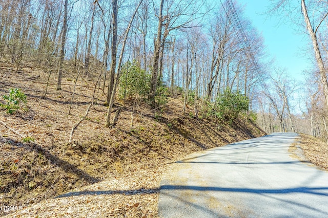 0 Tyrolea Ct, Gatlinburg, TN 37738